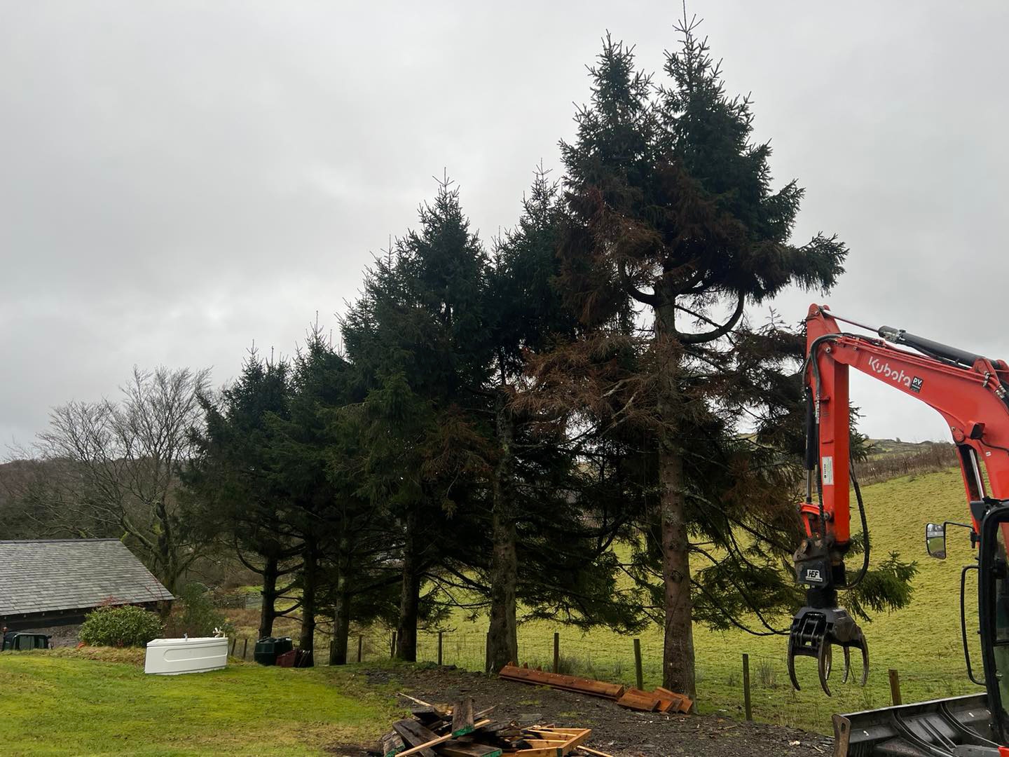 Blackpool Tree Surgery